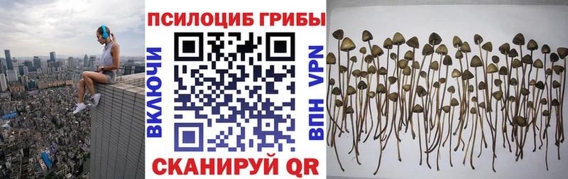 KRAKEN ссылки Городец Псилоцибиновые грибы Psilocybine cubensis закладка