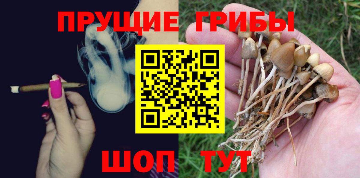 Галлюциногенные грибы прущие грибы  Вход с VPN  Городец 