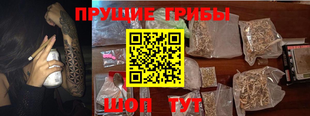 Псилоцибиновые грибы GOLDEN TEACHER  Городец 