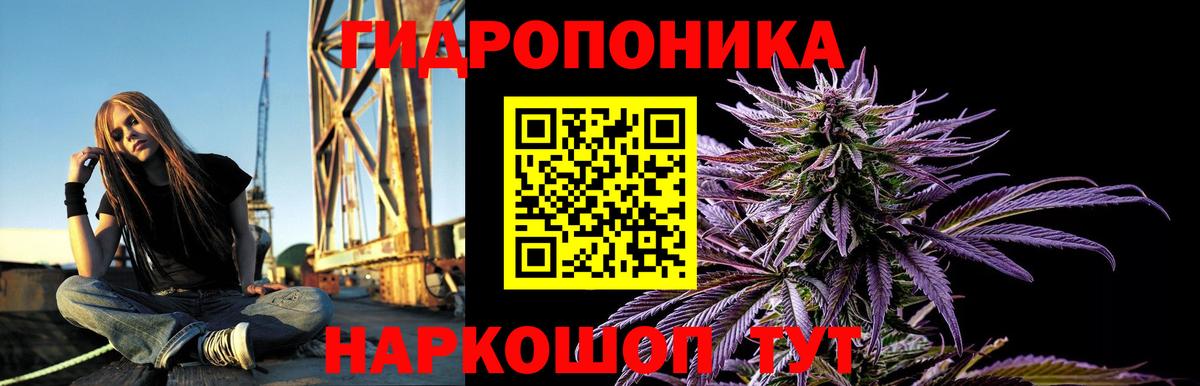 Конопля Bruce Banner Городец